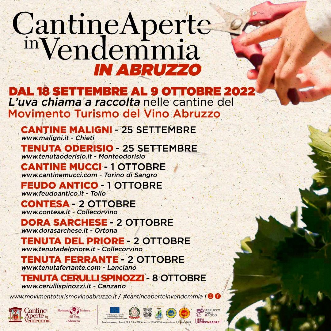Abruzzo Impresa - Torna Cantine Aperte in Vendemmia nelle aziende del Movimento Turismo Vino Abruzzo